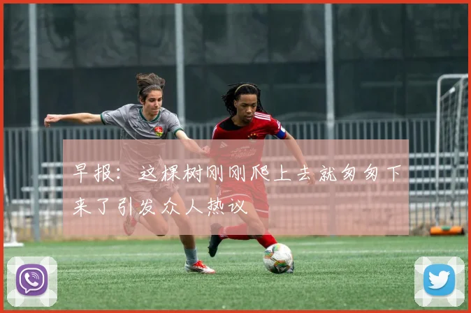 早报：这棵树刚刚爬上去就匆匆下来了引发众人热议