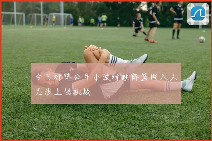 今日对阵公牛小波特缺阵篮网八人无法上场挑战