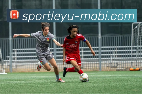 乐鱼体育服务体系